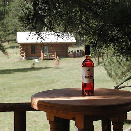 Renegade Log Cabin Custer Kültér fotó