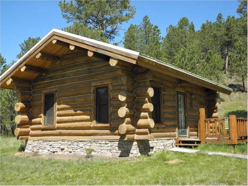 Renegade Log Cabin Custer Kültér fotó