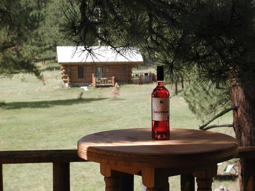 Renegade Log Cabin Custer Kültér fotó