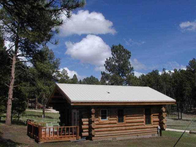 Renegade Log Cabin Custer Kültér fotó