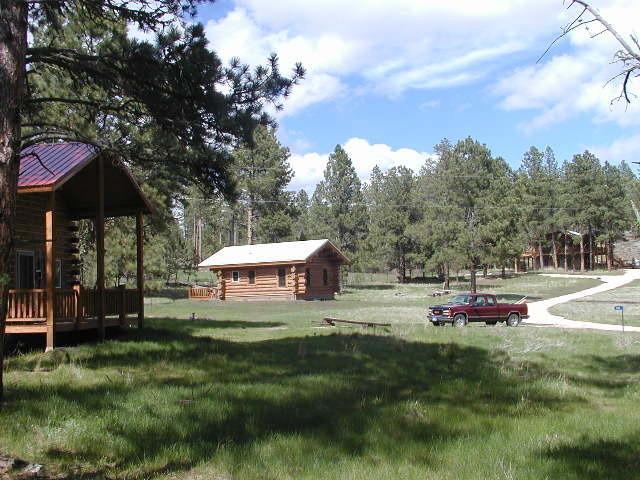 Renegade Log Cabin Custer Kültér fotó